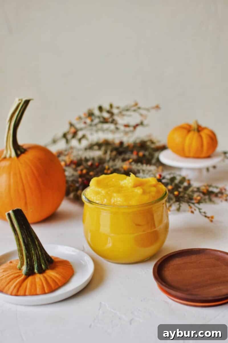Golden Homemade Pumpkin Puree 11 A vibrant bowl of freshly made Homemade Pumpkin Puree, smooth and ready for use in baking or cooking.