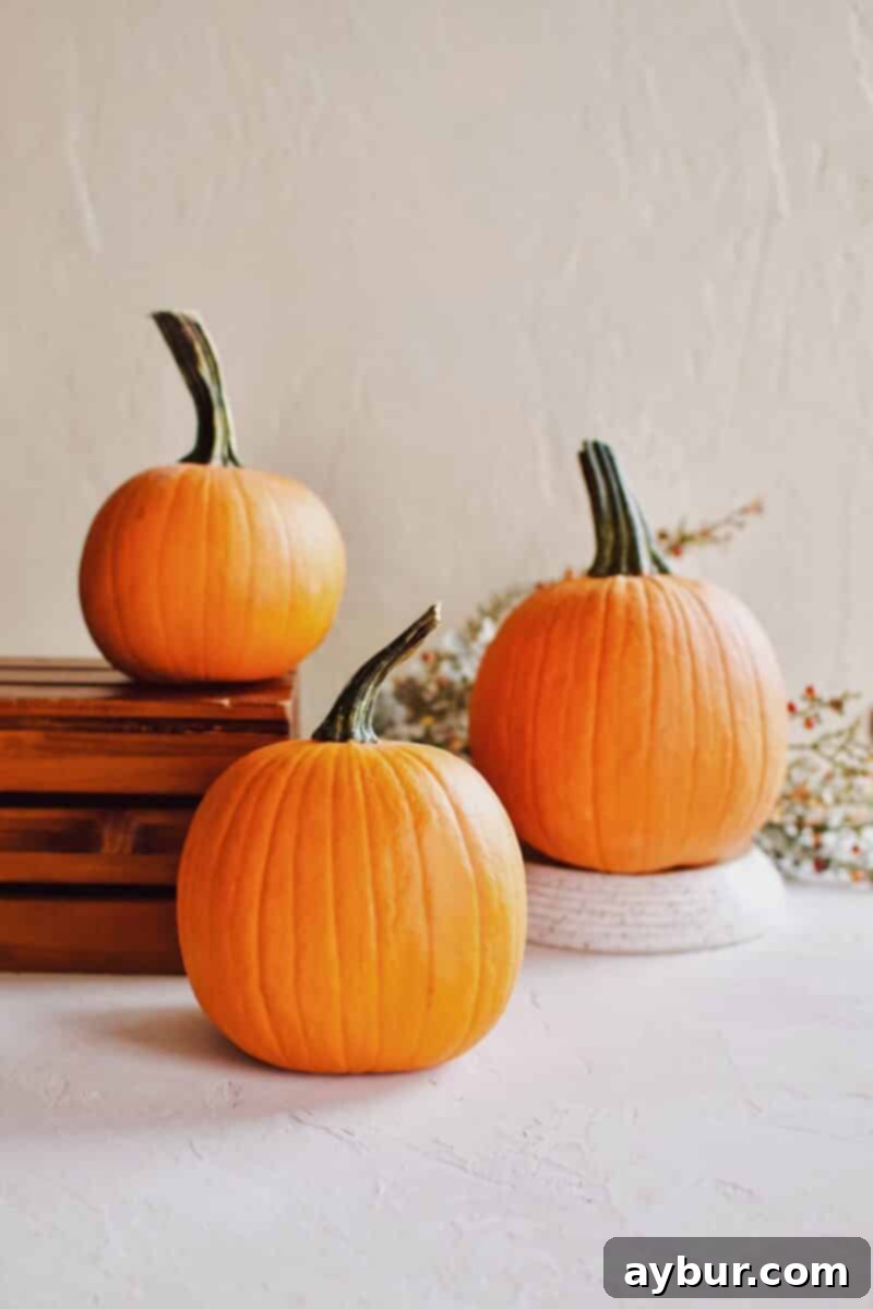 Golden Homemade Pumpkin Puree 3 A close-up of several small, round sugar pie pumpkins, perfect for baking and making puree.