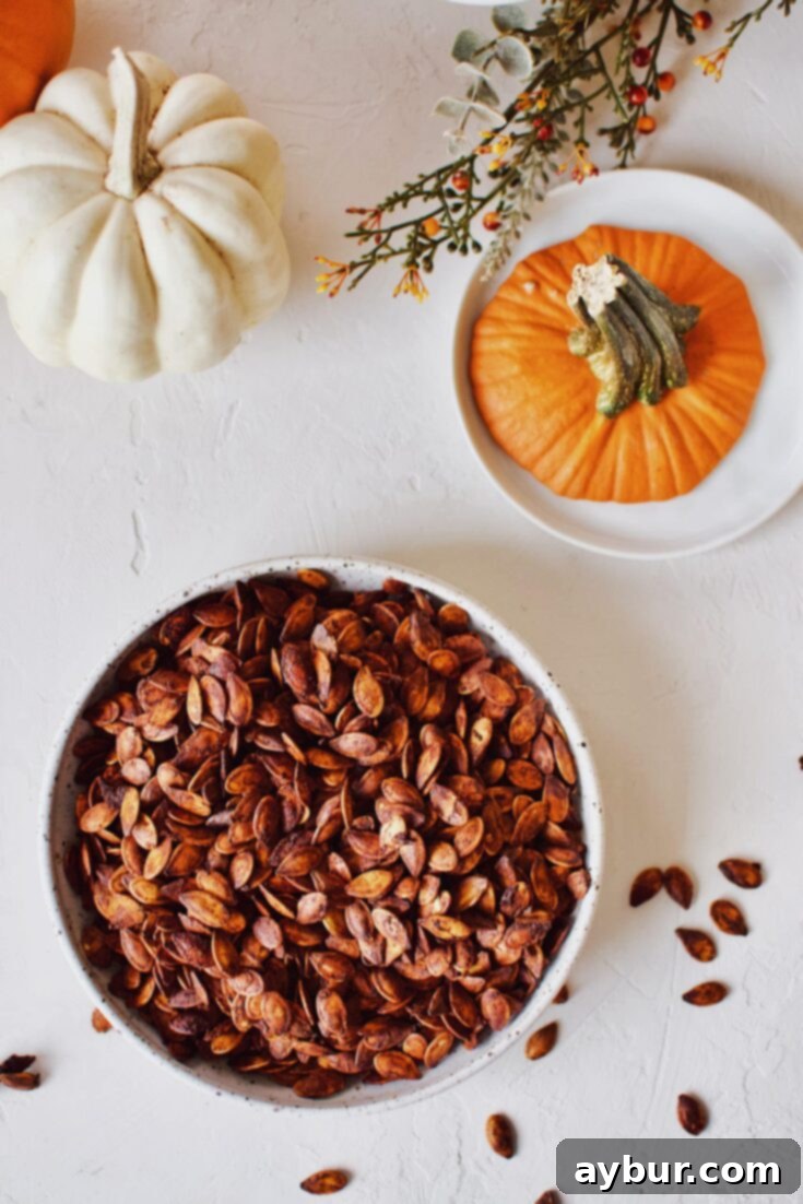 Soy-Glazed Pumpkin Seeds 11 Soy Sauce Pumpkin Seeds crispy and ready to eat.