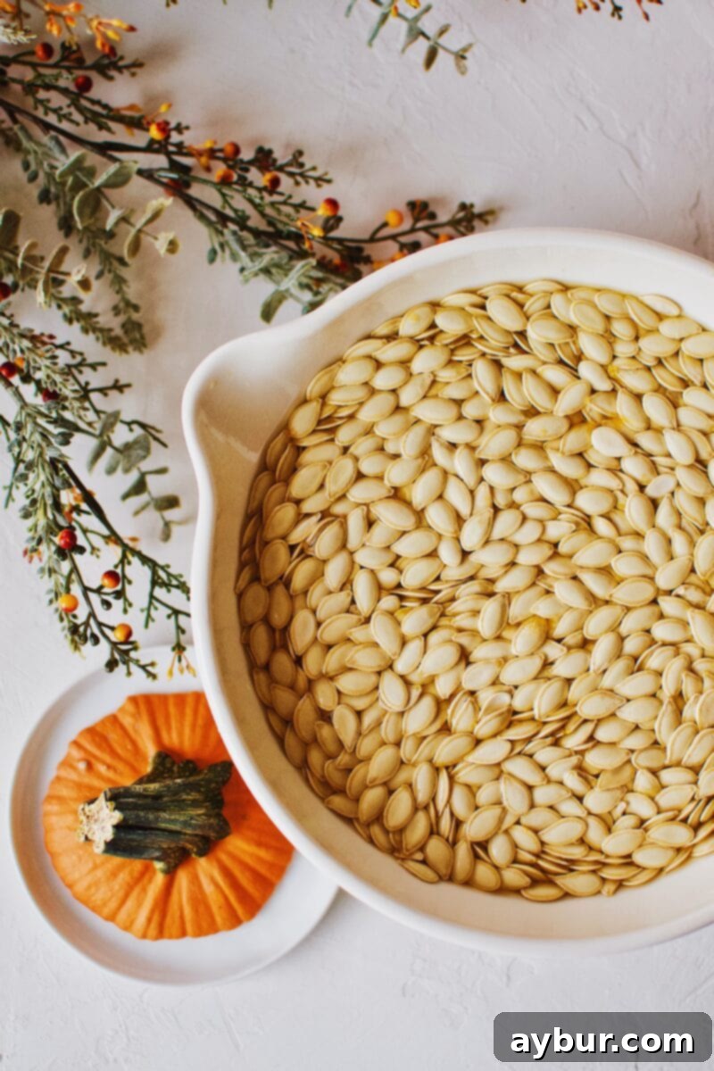 Soy-Glazed Pumpkin Seeds 5 Clean pumpkin seeds, free from pulp, after being rinsed in water and ready for the next step in the recipe.