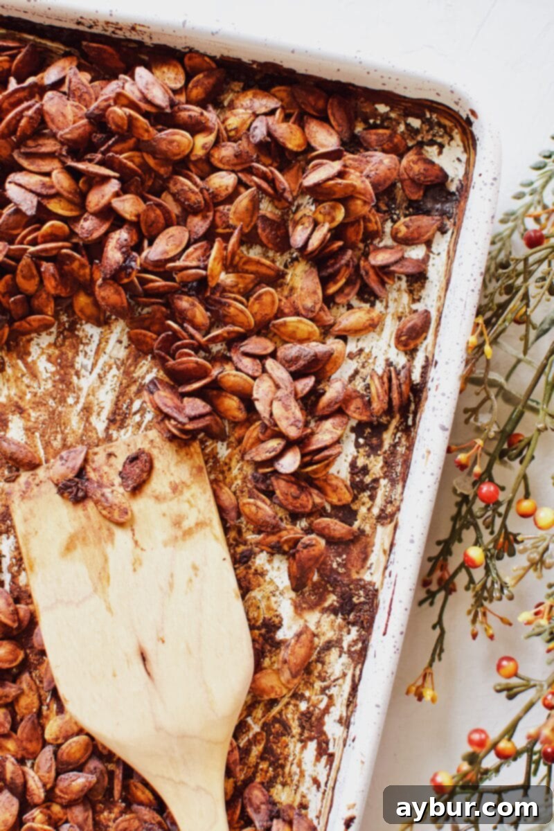 Soy-Glazed Pumpkin Seeds 9 Fully roasted Soy Sauce Pumpkin Seeds, golden and crisp, ready to be enjoyed as a delicious snack.