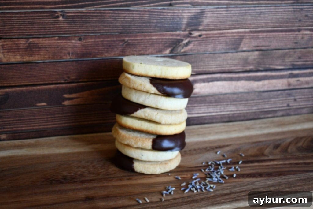 Chocolate Dipped Shortbread Cookies from the Magnolia Table Cookbook Prepared by KendellKreations