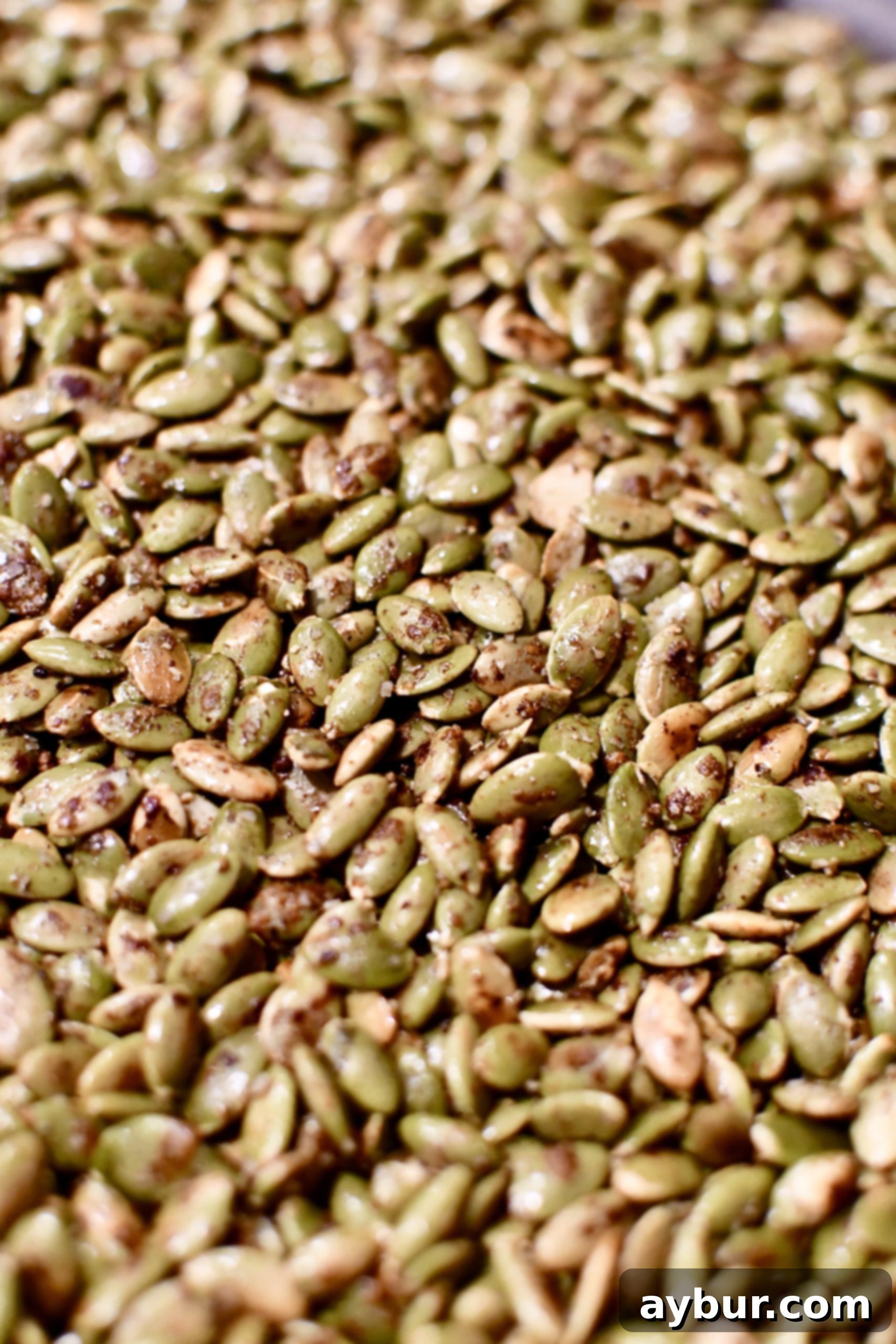 Garlicky Roasted Pumpkin Seeds 6 img 7706 5 scaled