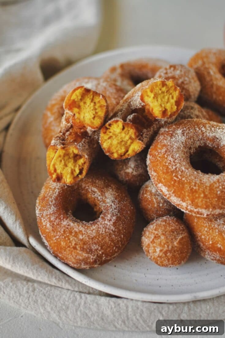 Pumpkin Donuts after frying, stacked on a plate and coating in pumpkin spice sugar, one broken in half to show the fluffy orange interior.