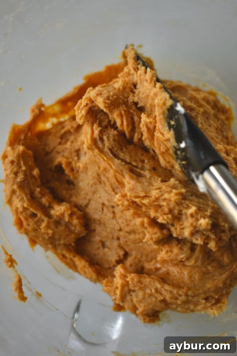 Donut dough fully mixed ready to chill for 1 hour.