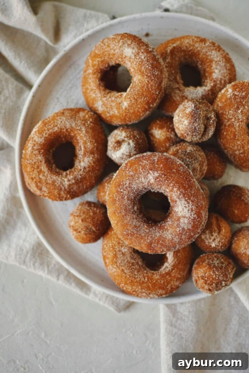 Pumpkin Donuts fresh out of the fryer and dusted in pumpkin spice sugar.