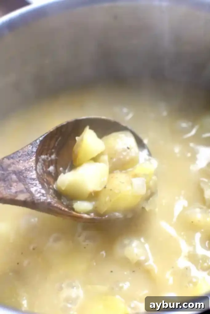 Plant-Based Creamy Potato Soup 7 Potatoes simmering in chicken stock