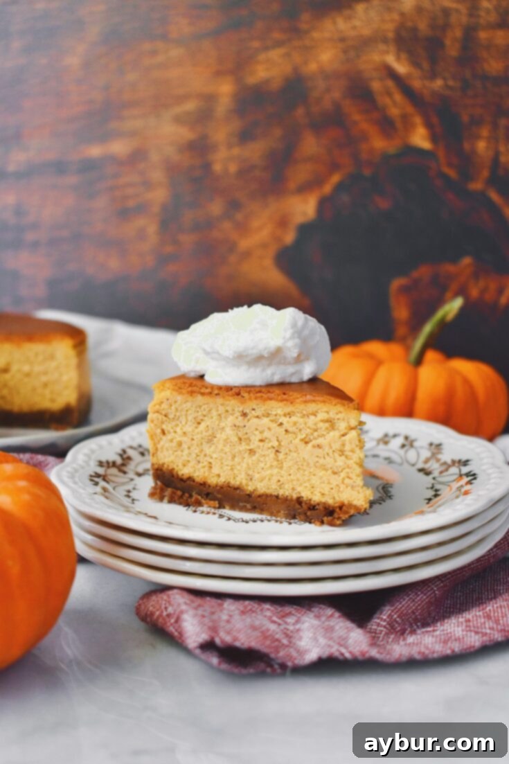 A slice of pumpkin cheesecake out of the main cake, on a plate and topped with cream.